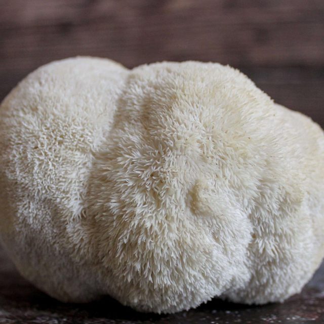 Lion’s Mane mushrooms