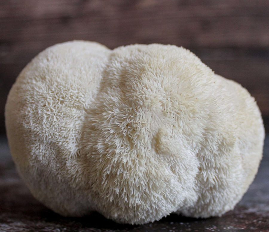 Lion’s Mane mushrooms