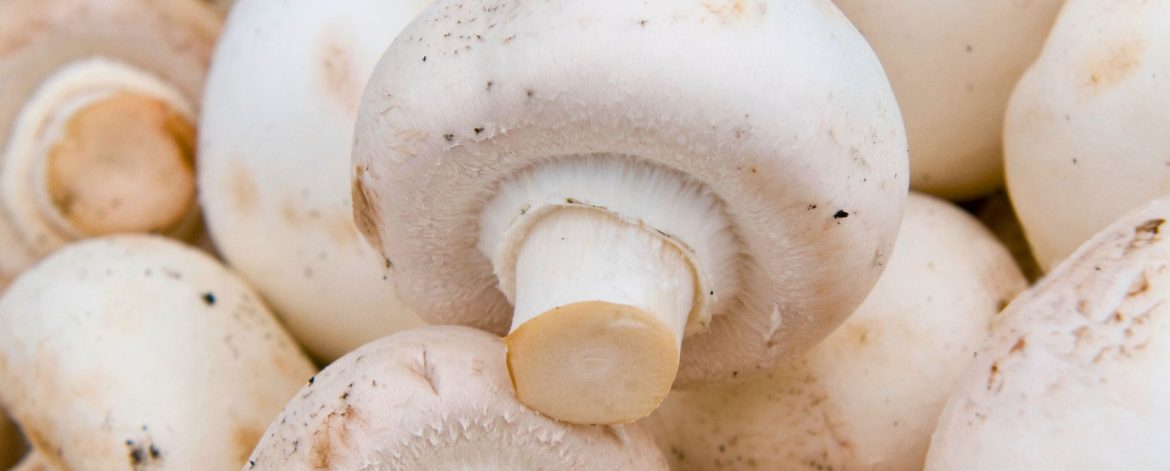 White Button mushrooms