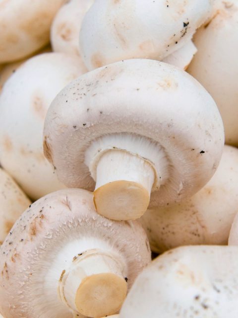 White Button mushrooms