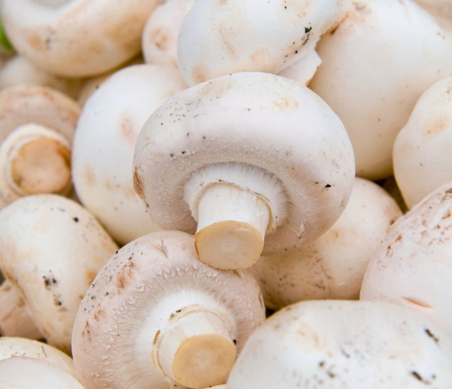 White Button mushrooms